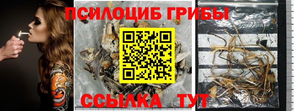 Белореченск  Псилоцибиновые грибы мухоморы  Псилоцибиновые грибы мицелий  Вход с VPN 