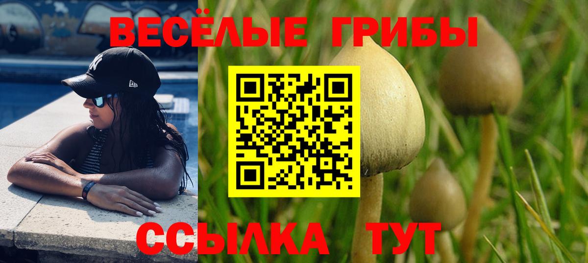 Галлюциногенные грибы прущие грибы Белореченск